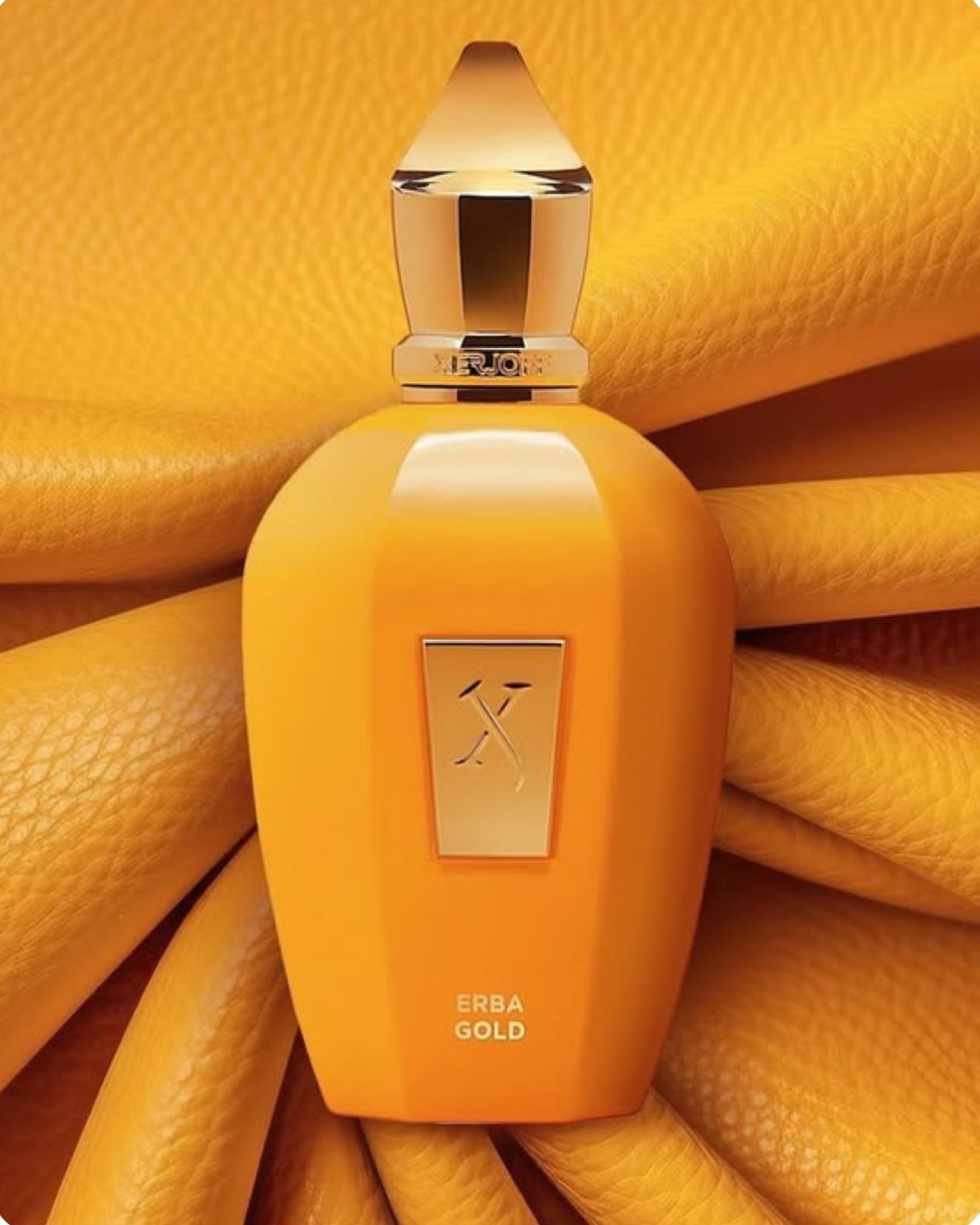 ⁦Erba Gold Eau De Parfum.⁩ – תמונה ⁦2⁩
