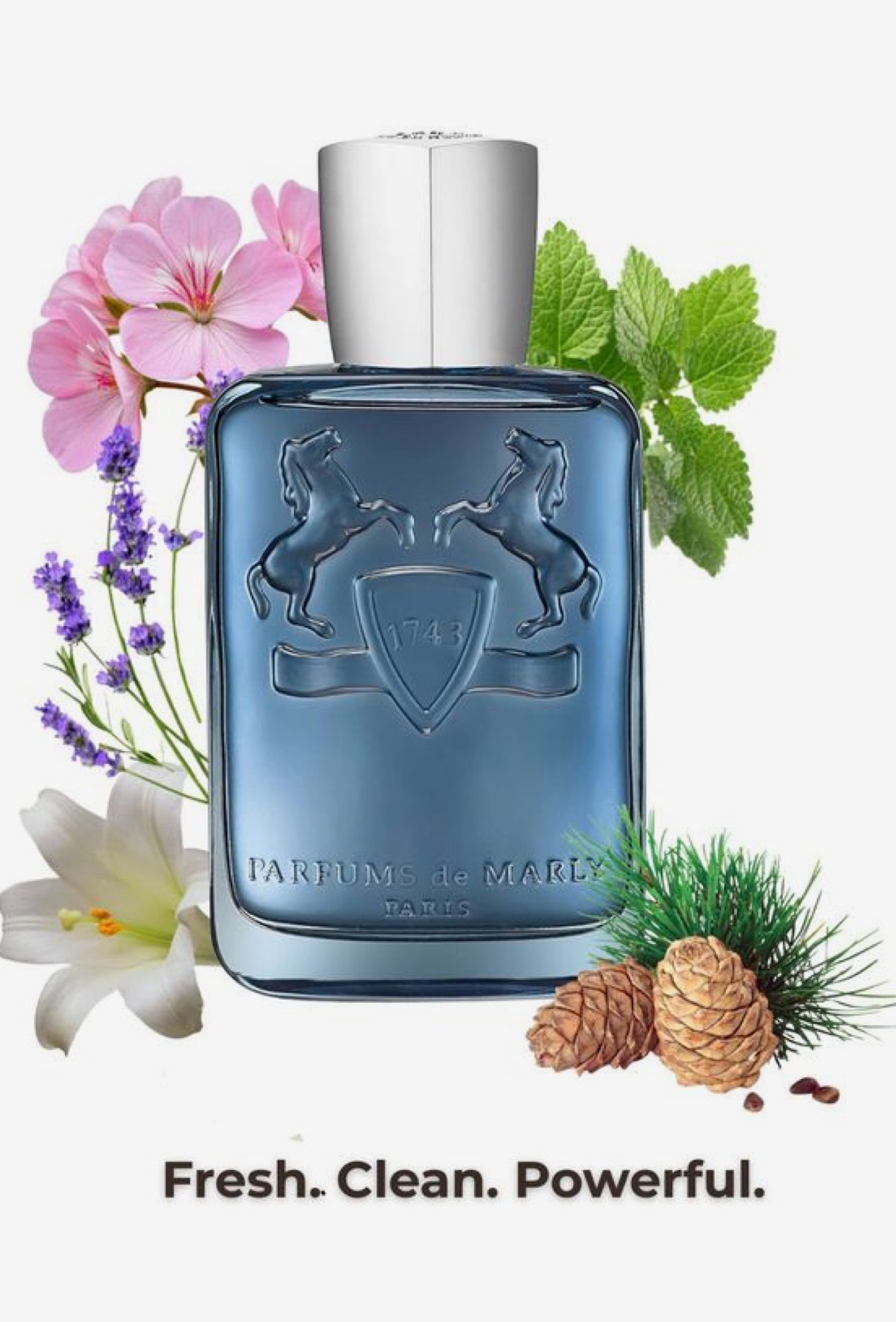 Parfums de Marly Sedley - Image 3