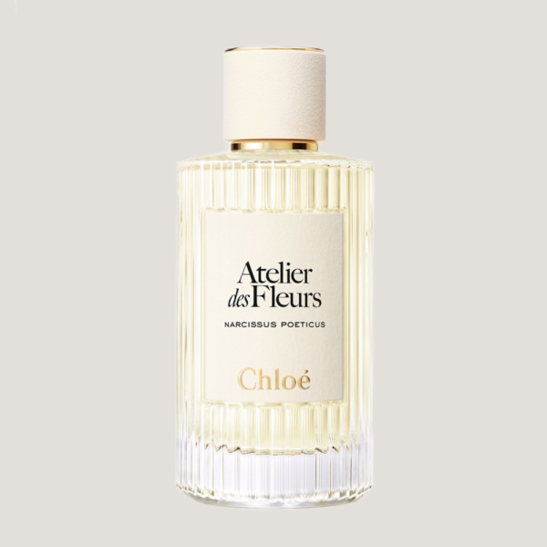 Chloe Atelier des Fleurs - Narcissus Poeticus