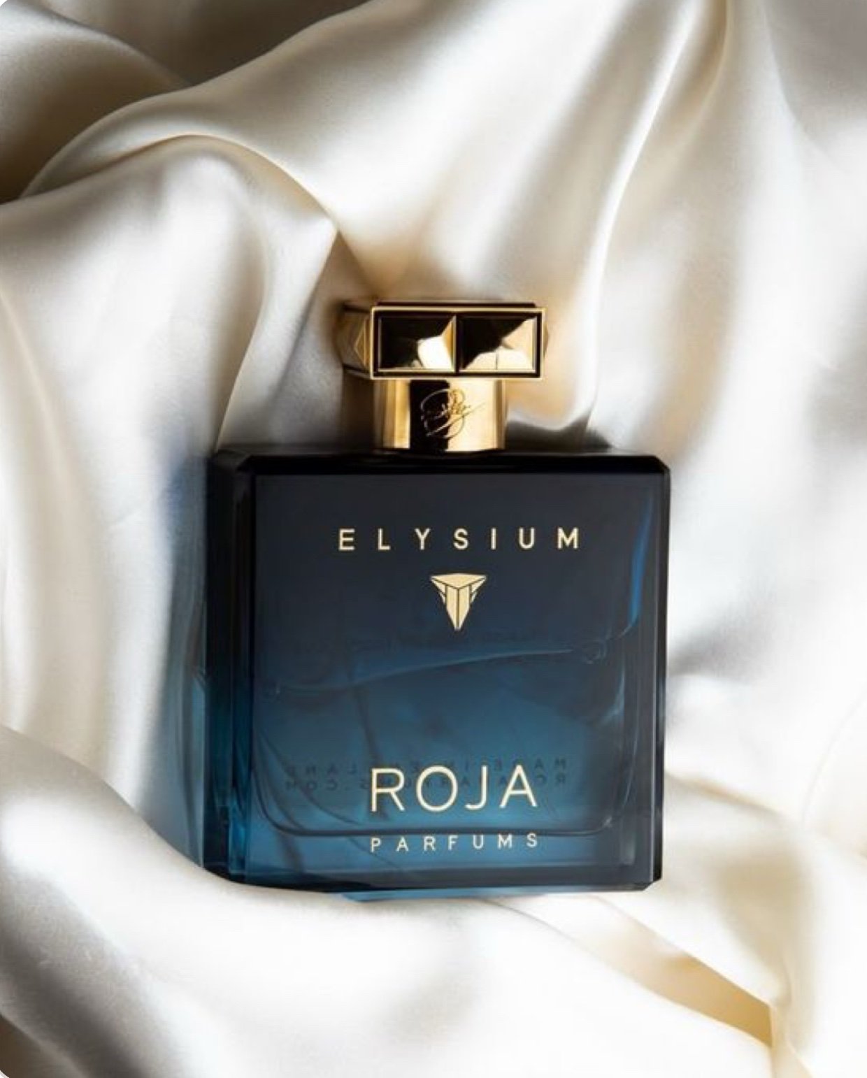 ‏ Roja Elysium Pour Homme EDP - Image 2
